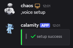 Run voice setup